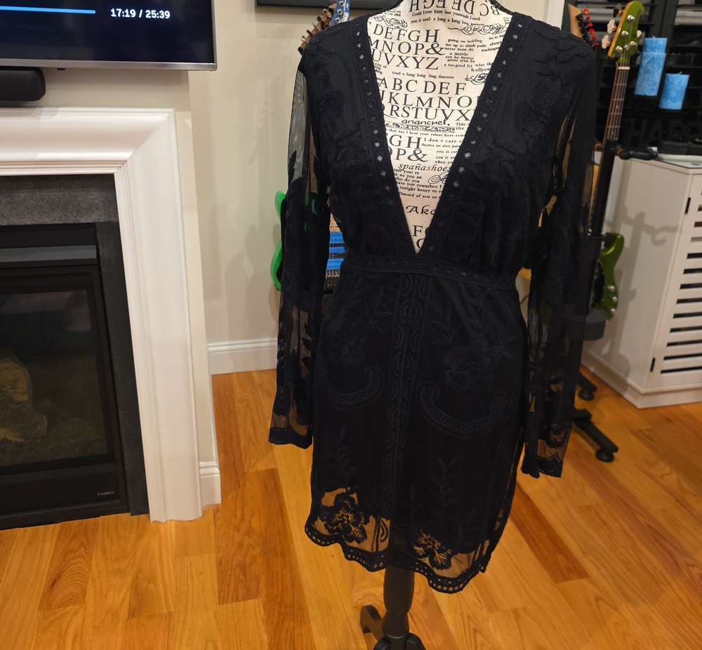 Wild Honey Black Lace Mini Dress with Deep V-Neck